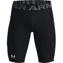Pánske spodky Under Armour HeatGear Printed Long 1383323-561