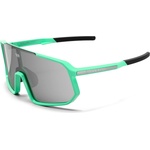 VAN RYSEL Очила за колоездене Van rysel Taaien S3 Cycling glasses - Team / Smoke - размер One Size (205-7109-0211)