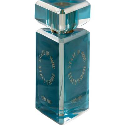 State of Mind Open Mind EDP 100 ml унисекс