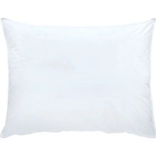 SCANquilt polštář Comfort Cotton antibakteriální 70x90