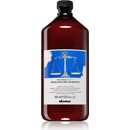 Davines NATURALTECH Rebalancing šampon pro pokožku s nadměrnou tvorbou mazu 1000 ml