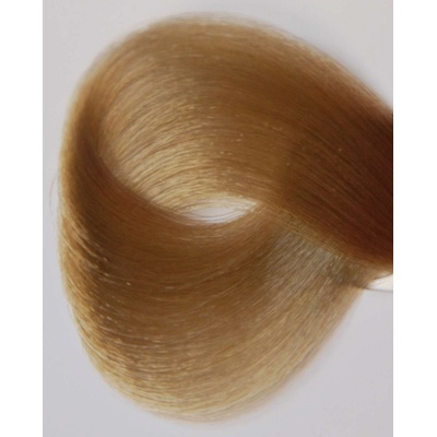 Black velmi světlý popelavý Blond 11-1 100 ml