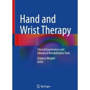 Hand and Wrist Therapy | Grégory Mesplié (ISBN: 9783030949419)