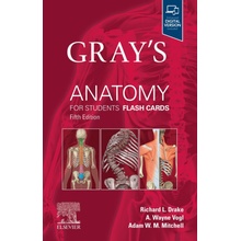 Gray's Anatomy for Students Flash Cards