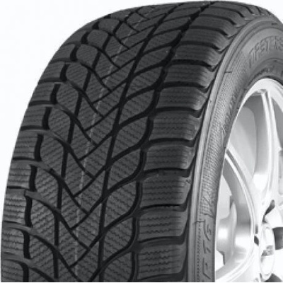 Mastersteel Winter + IS-W 195/65 R15 91H