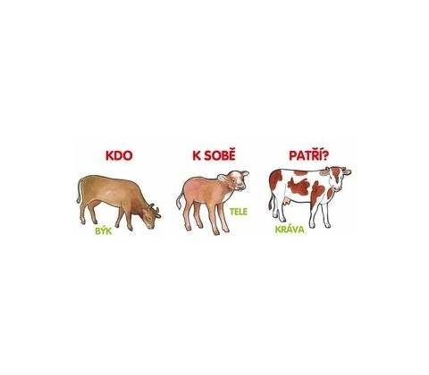 Kdo k sobě patří?