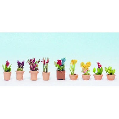 Noch okrasné rostliny v květináčích 14080