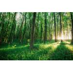 DIMEX ART Флизелинов фототапет зелена гора 375 x 250 см