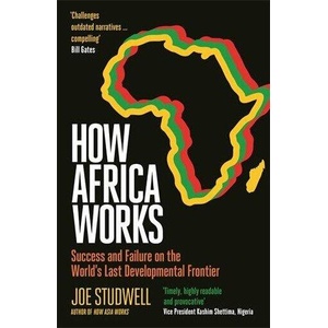 How Africa Works (ISBN: 9781805226772)