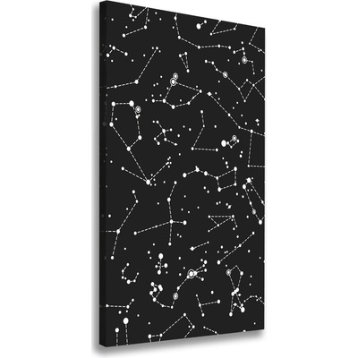 Vertikálny foto obraz canvas Hviezdokopa 50x100 cm