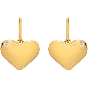 Hot Diamonds náušnice DE782