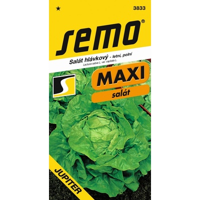 SEMO Salát hlávkový Jupiter