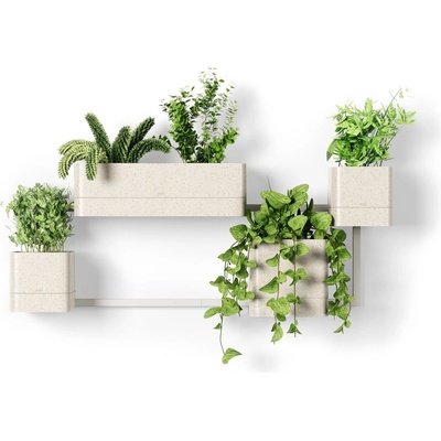 Umbra Пластмасови стенни/висящи кашпи в комплект от4 бр. за билки Cubiko - Umbra (1018767-1313)