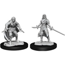 WizKids D&D Nolzur's Marvelous Miniatures: Half-Elf Rogue Female