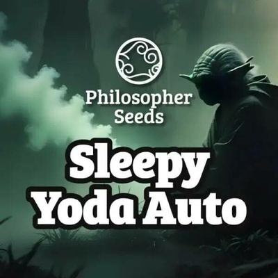 Philosopher Seeds Sleepy Yoda AUTO semena neobsahují THC 3 ks