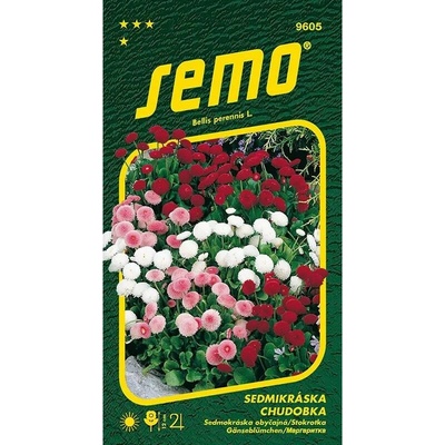 Sedmikráska chudobka směs plnokvětá Semo