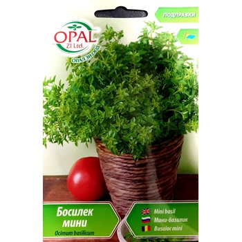 Opal Zi Босилек мини