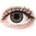 Alcon FreshLook ColorBlends Sterling Gray (Искрящо сиво ) - без диоптър (2 лещи)