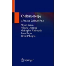 Cholangioscopy