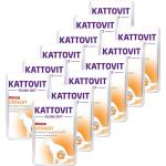 KATTOVIT Urinary пастет телешки 12 x 85 г