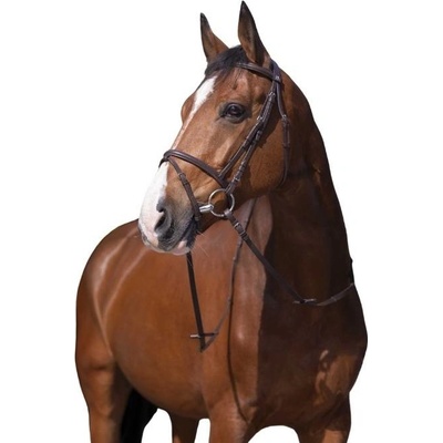 RIDING Uzdečka WORLD Murserolle Combinée s anglickým nánosníkem havana – Zboží Mobilmania
