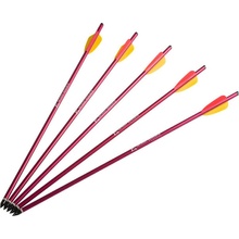 Poe Lang HalfMoon Ek ARCHERY 20″ 5 ks