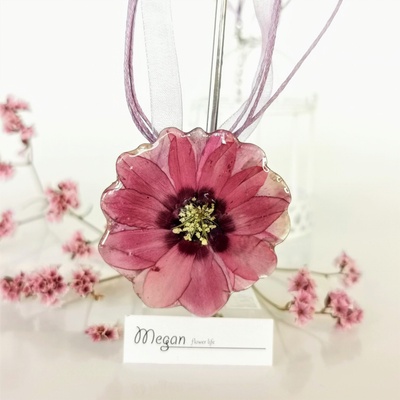 Meganflo Малка млечно розова циклама