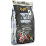 BELCANDO Finest Grain Free Puppy Poultry 1 kg