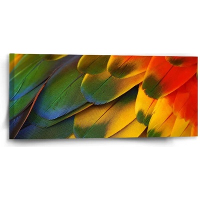 Sablio Obraz Farebné perie - 110x50 cm