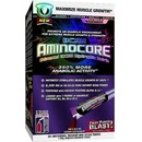 Allmax Aminocore 400 g