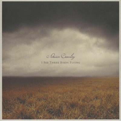 Adrian Crowley - I See Three Birds Flying
