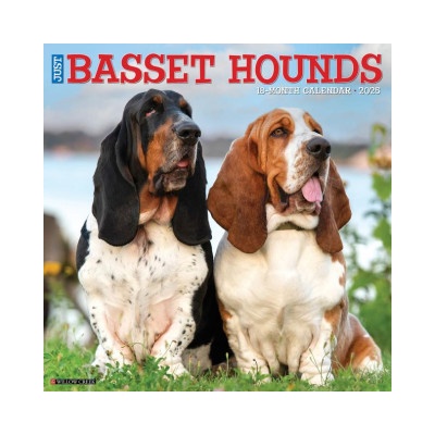 Willow Creek Press Calendars Basset Hounds 2026 12 X 12 Wall Calendar | Willow Creek Press