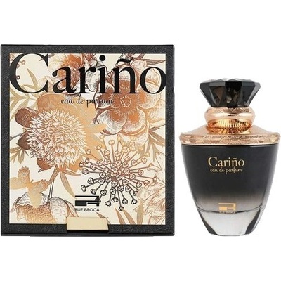 Rue Broca Carino Black parfémovaná voda pánská 100 ml