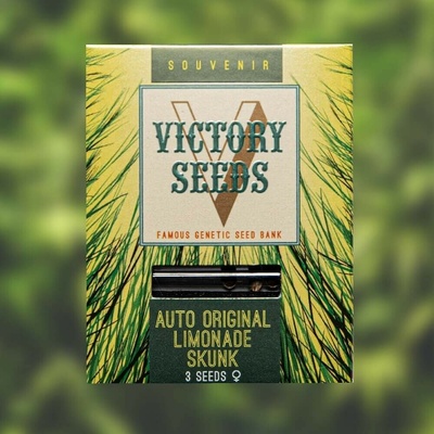 Victory Seeds Auto Original Limonade Skunk semienka neobsahujú THC 10 ks