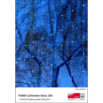FOMEI A4, 50 listů, 265 g/m2
