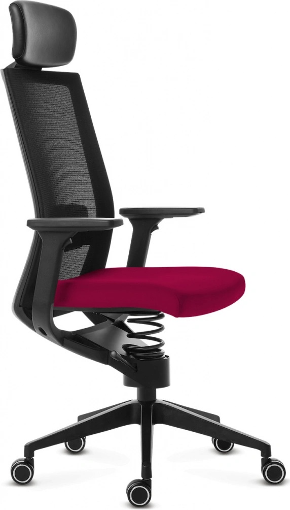 Adaptic EVORA +