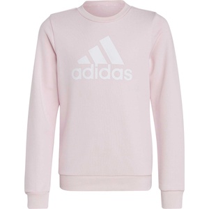 Adidas Блуза Essentials Big Logo Cotton Sweatshirt (IC6119)