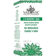 J.V Kapky DIA na regulaci cukru v krvi 50 ml