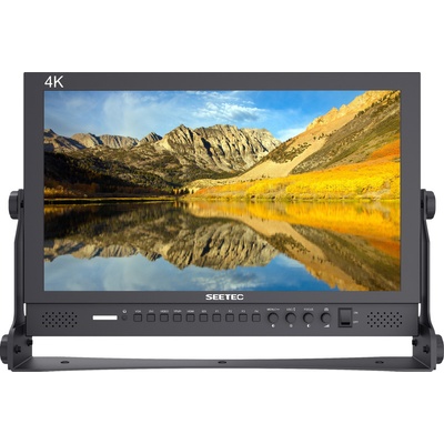 SEETEC P173-9HSD