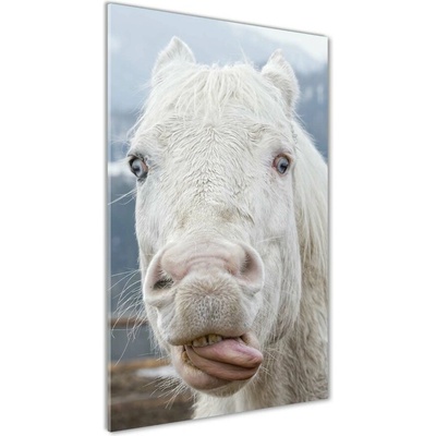 Vertikálny foto obraz fotografie na skle Šialený biely kôň 50x100 cm