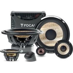 Focal PS 165 F3E (PS165F3E) Автоколони