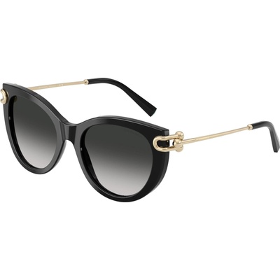 Tiffany & Co Tiffany & Co. TF4232 80013C (TF4232 80013C)