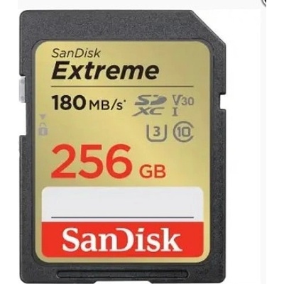 SanDisk SDXC UHS-I U3 256GB SDSDXVV-256G-GNCIN