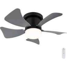 Globo 03609A