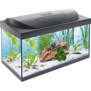 Tetra Aquarium Starter Line LED - оборудван аквариум 54 литра, 61 x 32 x 36 см