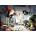 Ravensburger - Puzzle Desk - 1 000 piese