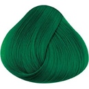 Farby na vlasy La Riché Directions Alpine Green