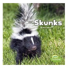 Skunks Black and White Animals