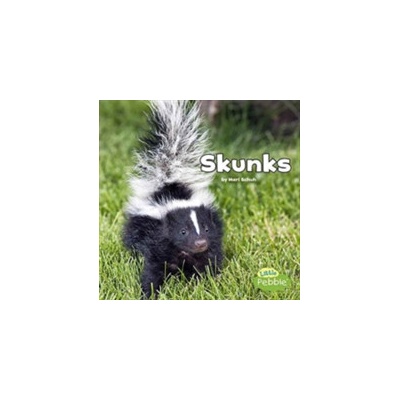 Skunks Black and White Animals