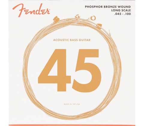 Fender 8060